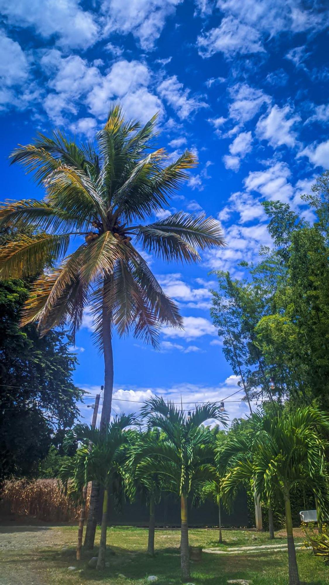 Hotel Campestre Campos Verdes Roldanillo エクステリア 写真